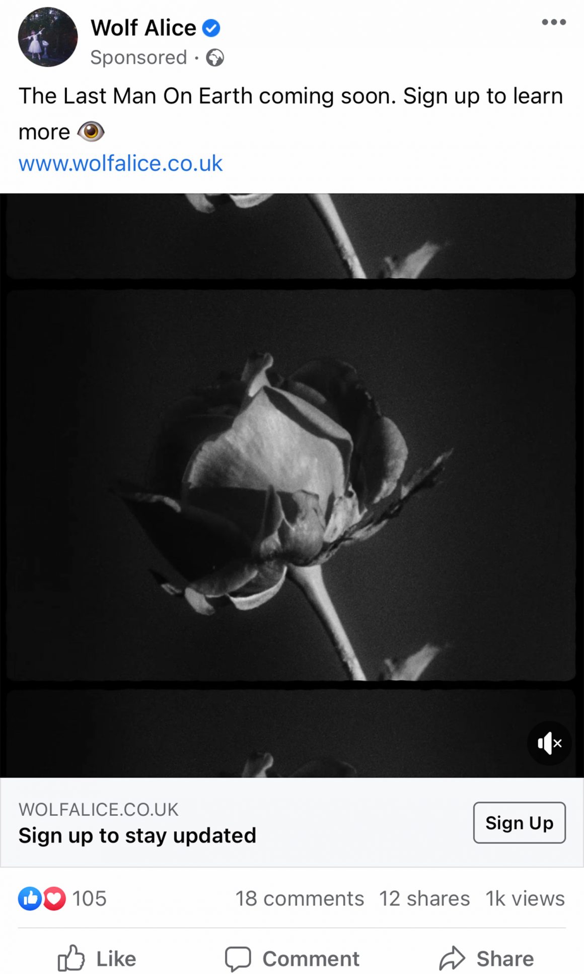 Wolf Alice are teasing something or other called 'The Last Man On Earth'