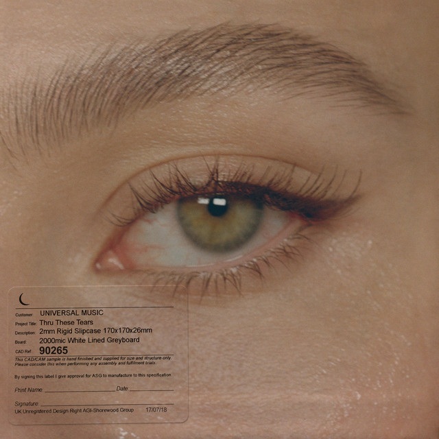 The Cut: The 1975, Drenge, Spring King and more