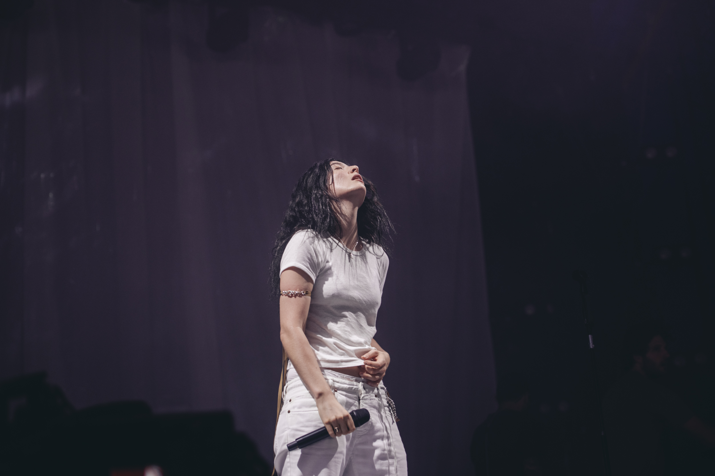 Lorde, Turnstile and Geese lead the FORM Festival 2026 lineup