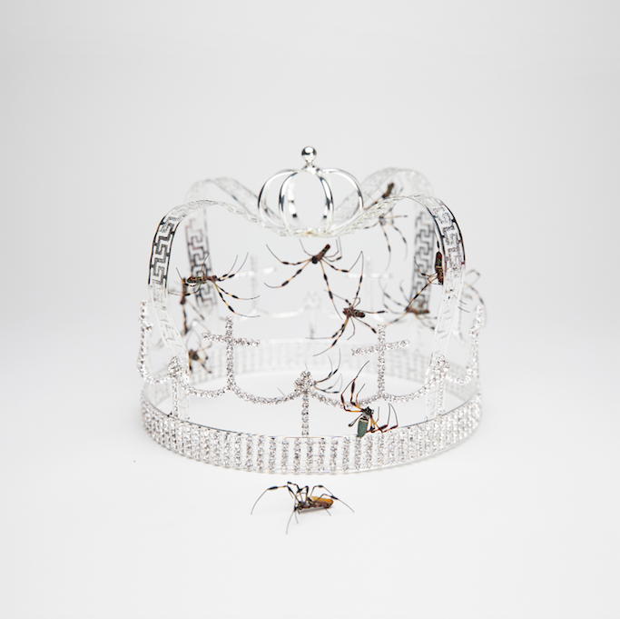 The Cut: The 1975, Drenge, Spring King and more