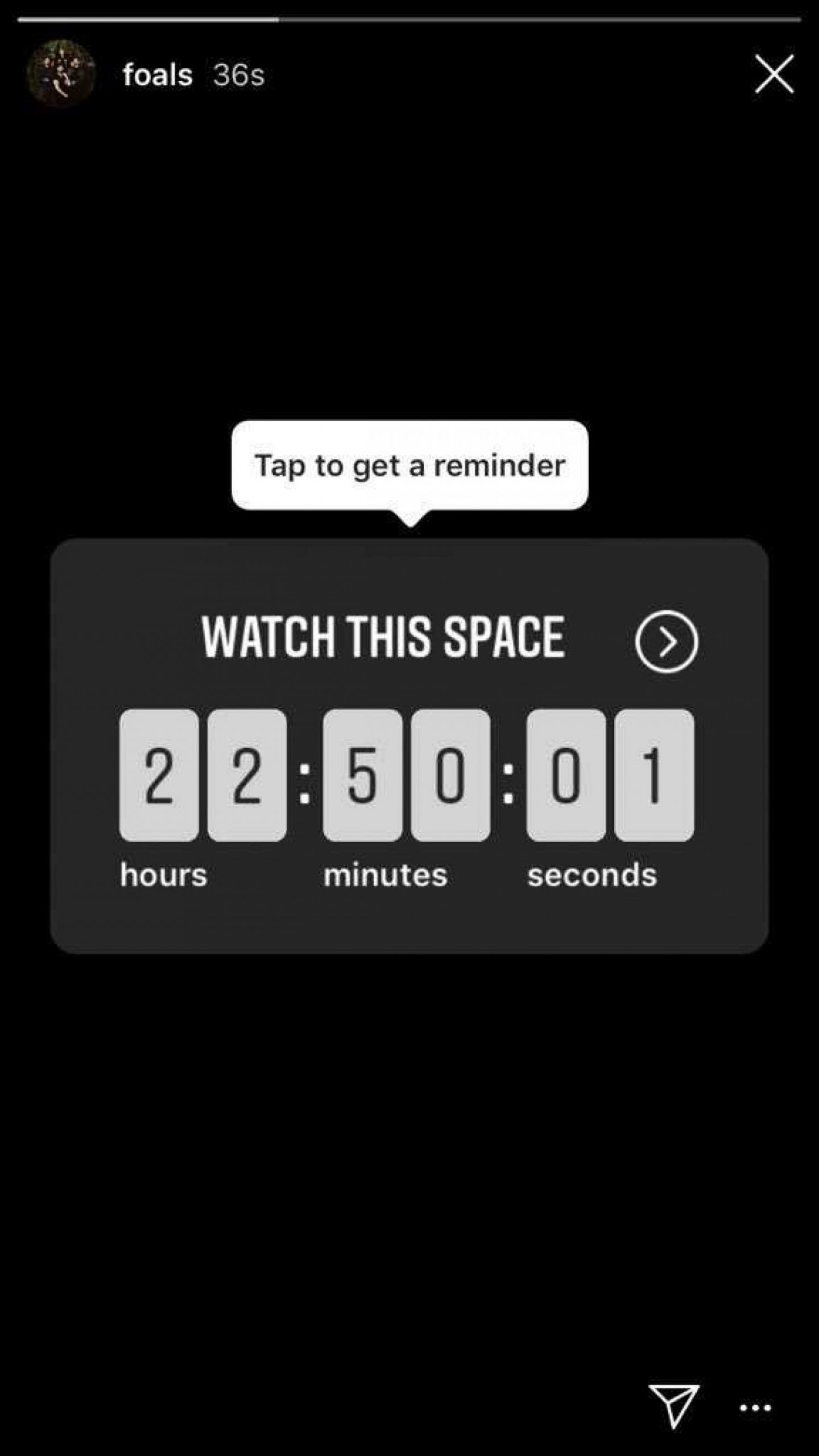 Foals are teasing something for tomorrow