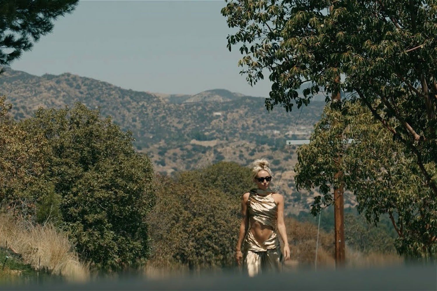 Miley Cyrus' new single 'Flowers' is coming this month