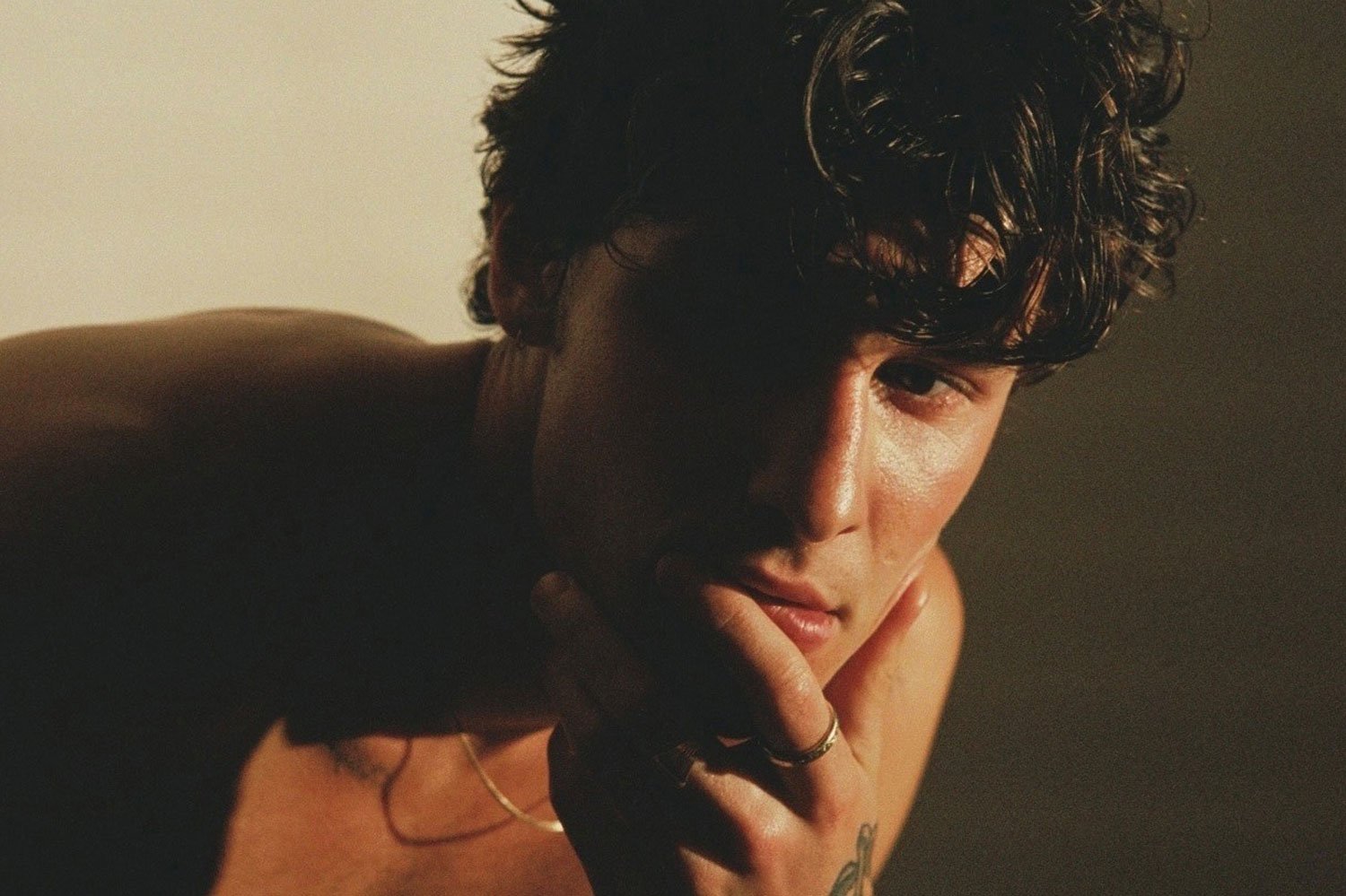 Shawn Mendes has announced a new track, 'When You're Gone'