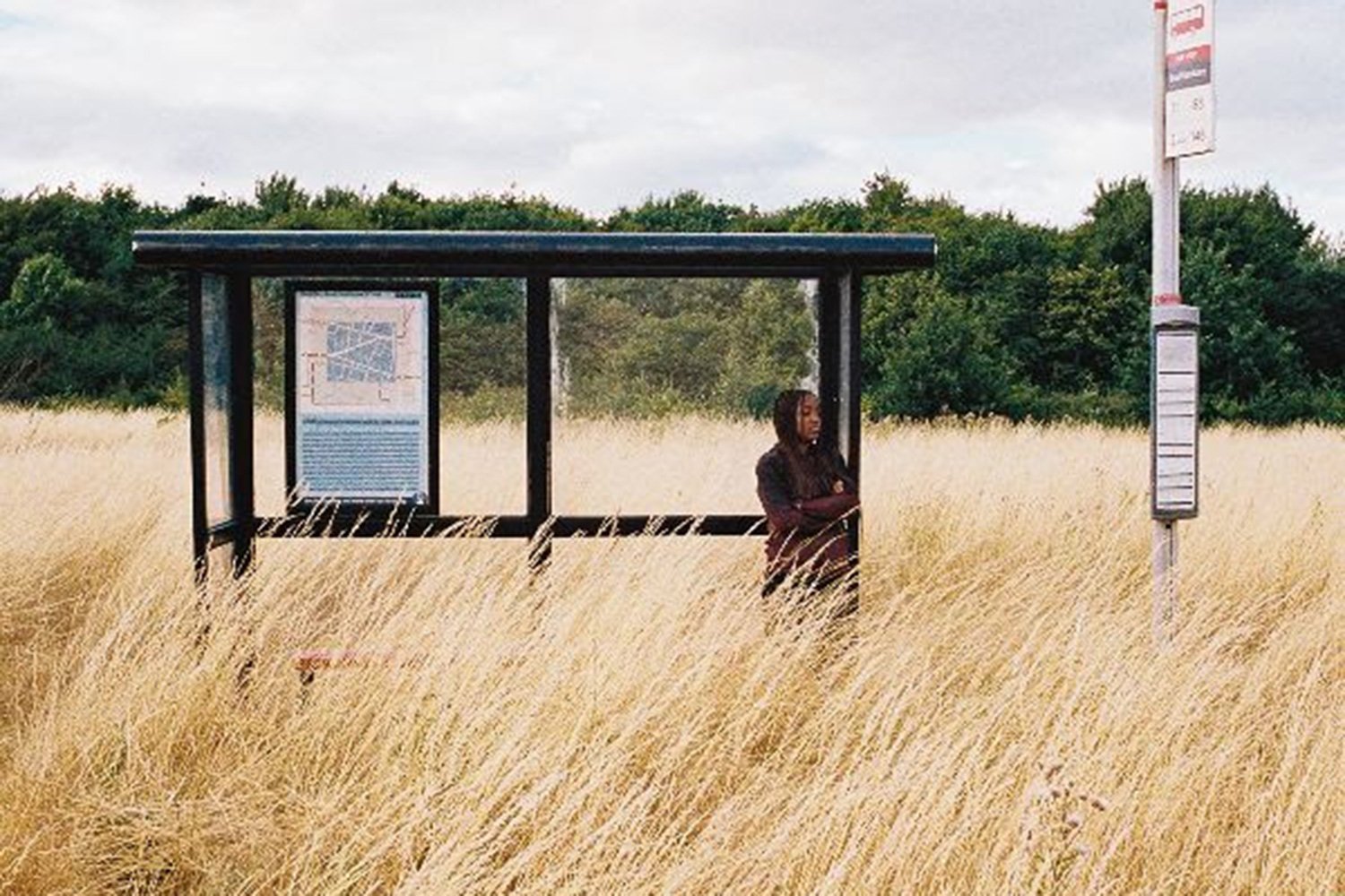 dexter has released a new project, 'Fortune Cookie'