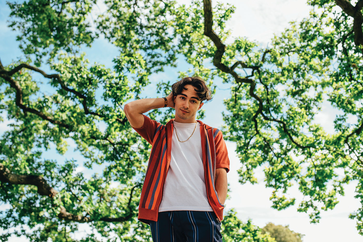 Alfie Templeman has cancelled his upcoming headline tour