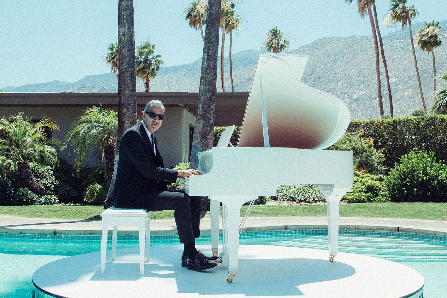 Anna Calvi, Sharon Van Etten and Fiona Apple are among the guests on Jeff Goldblum's new album