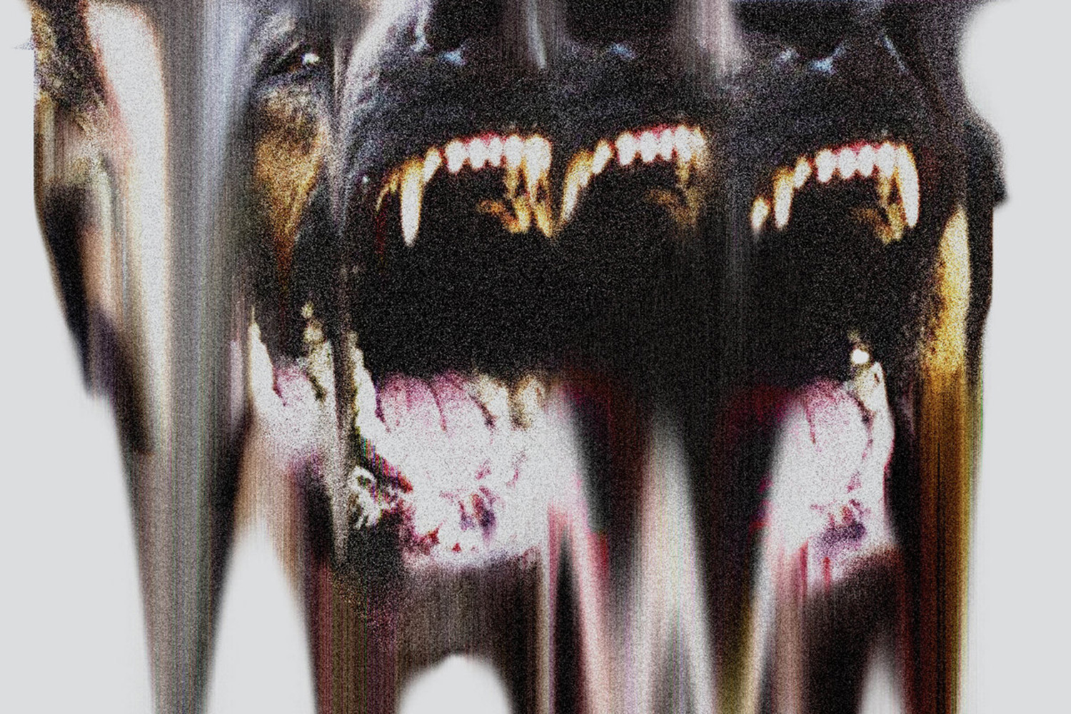 Omnibael have released a new video for their track 'Stay Down'