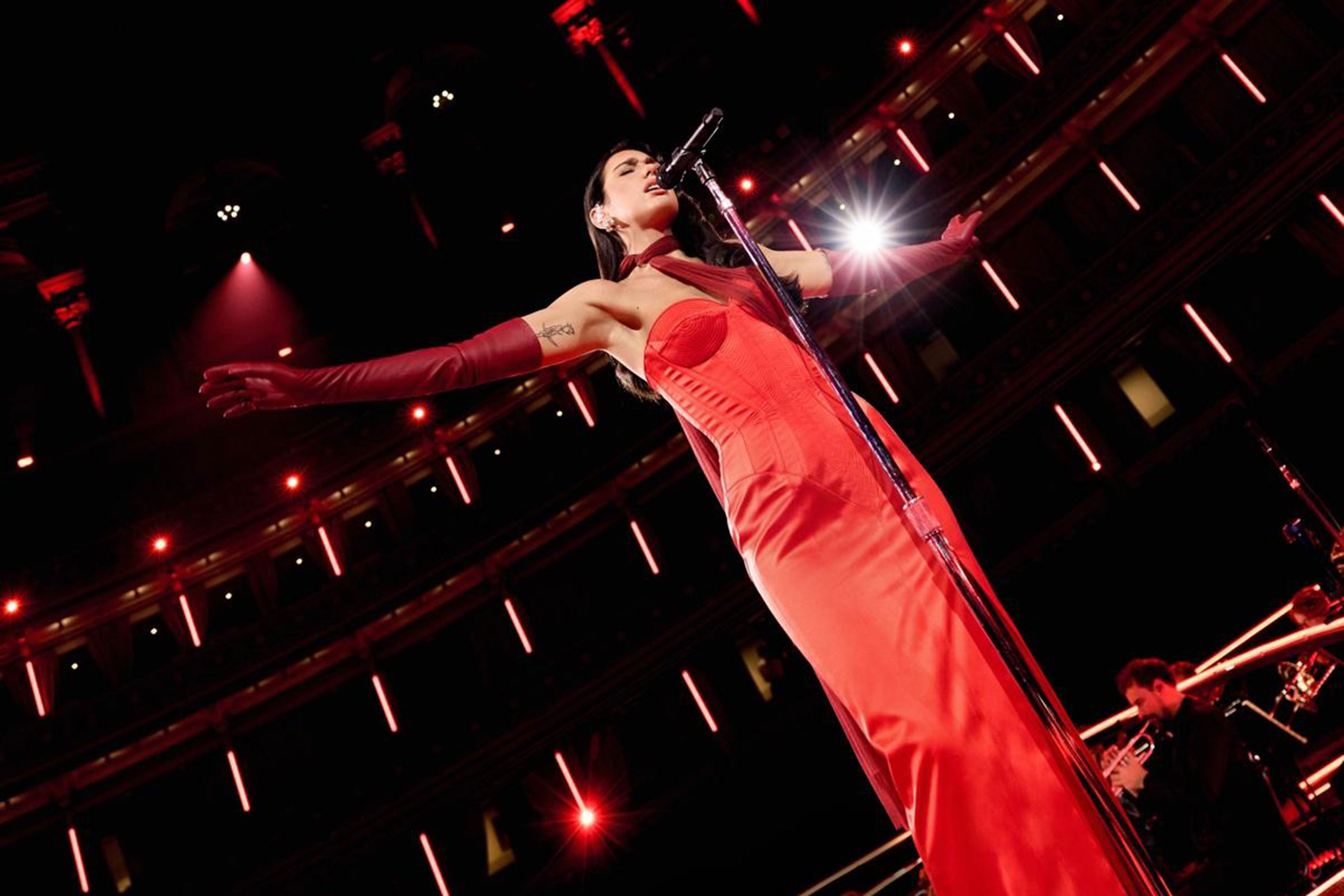 Dua Lipa pays tribute to the late Duolingo owl