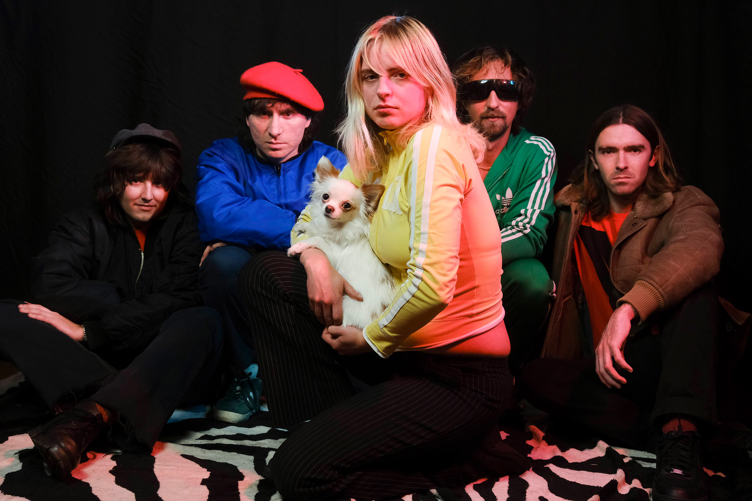 Fat White Family side-project Y have announced their debut EP with new single 'Why'