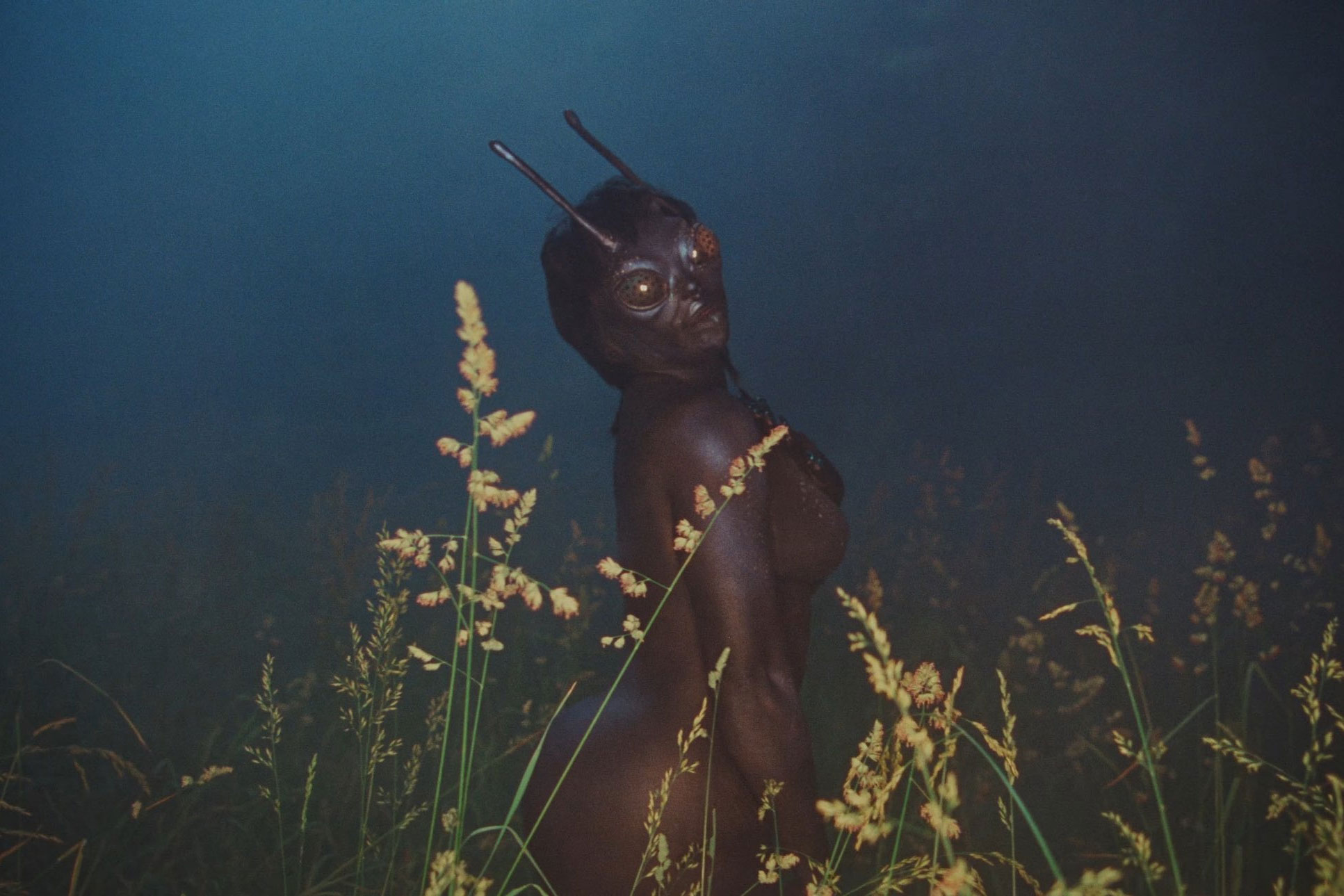 SZA announces extended edition of 'Lana' will arrive today with new songs