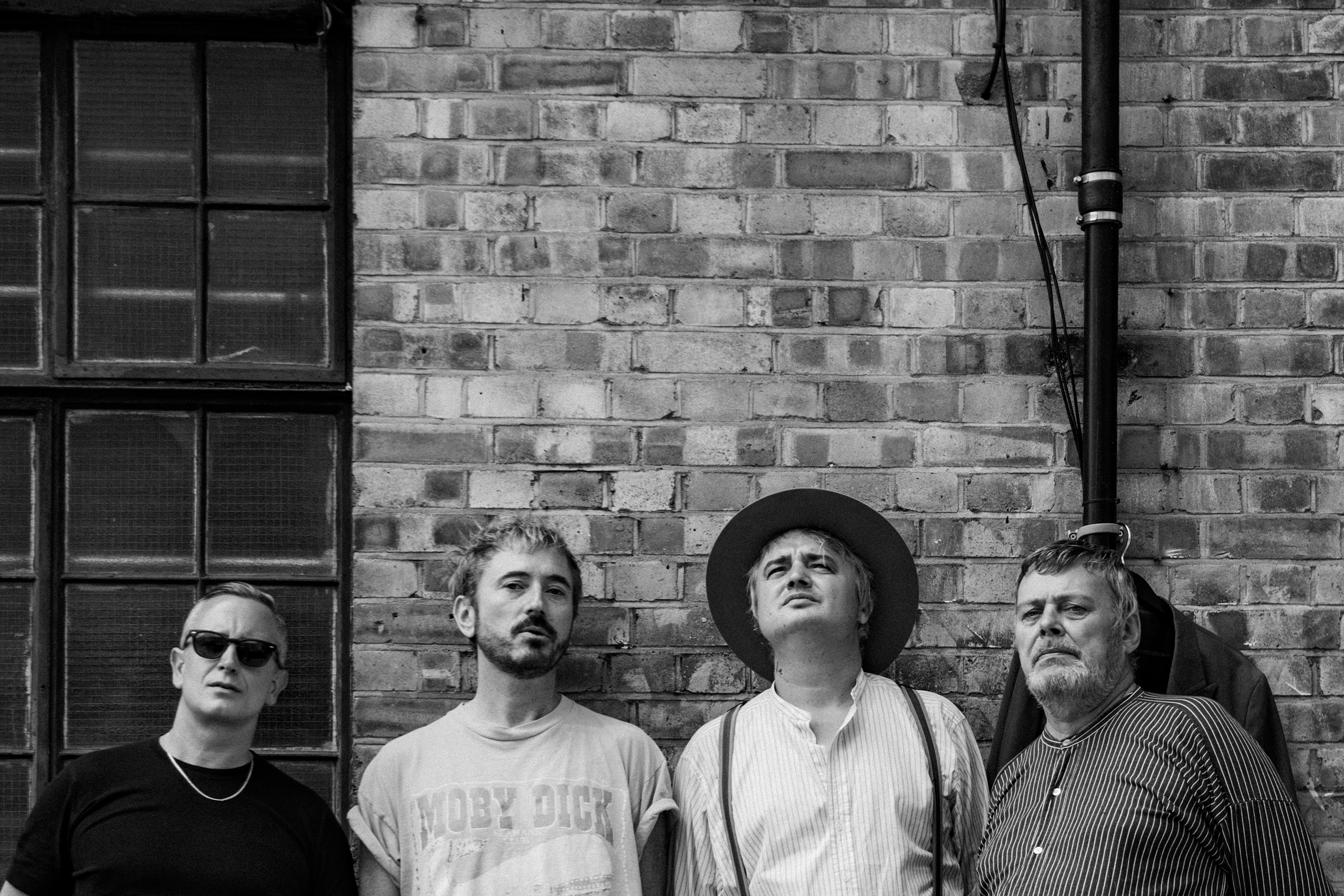 Babyshambles have confirmed their first live shows in eleven years, marking 20 years of debut ‘Down In Albion’