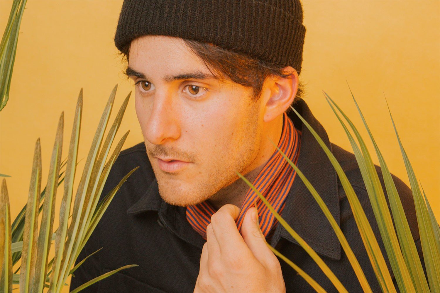Halfnoise announces January UK shows