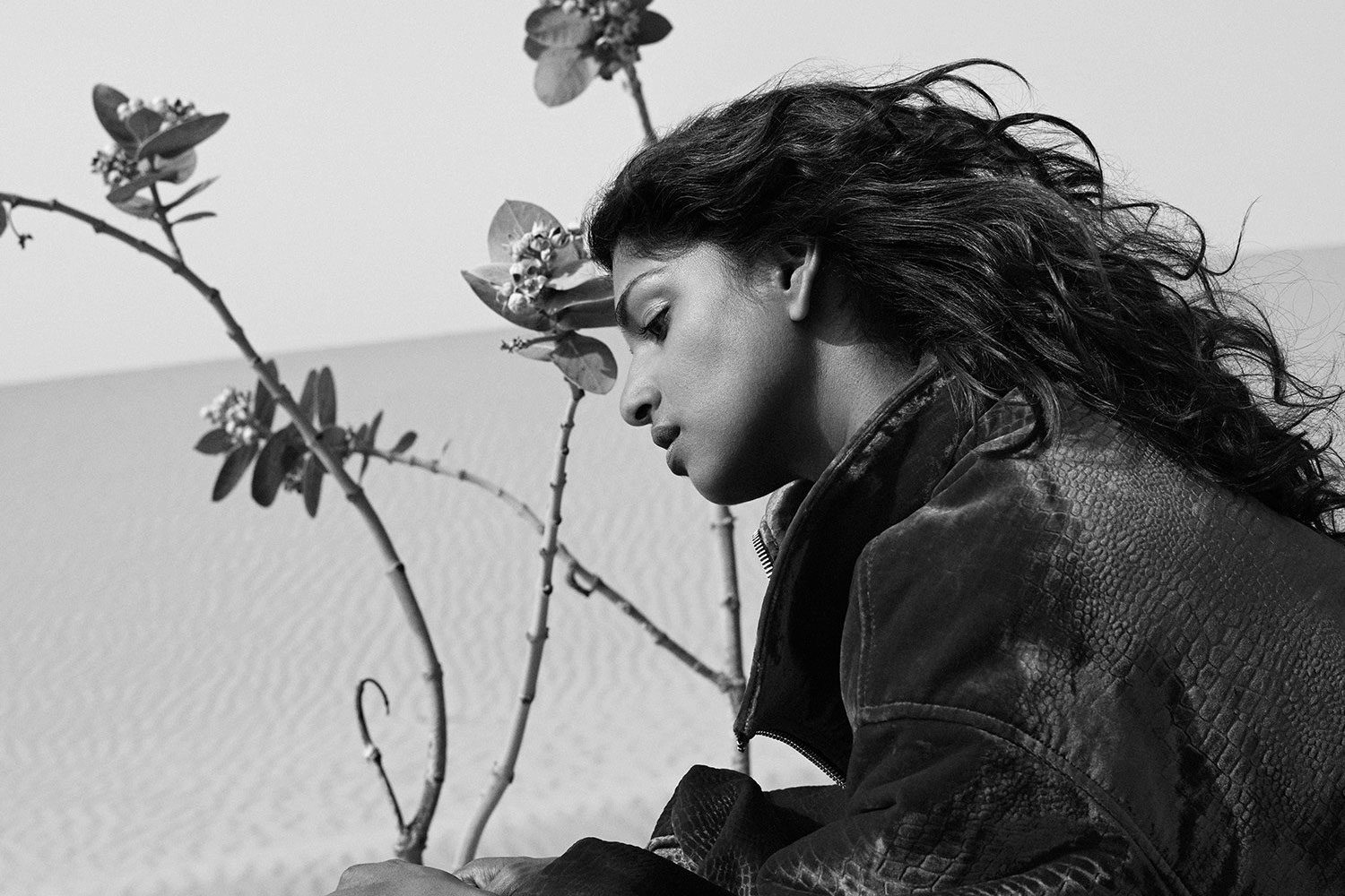 M.I.A. finally drops Diplo take on 'Bird Song'