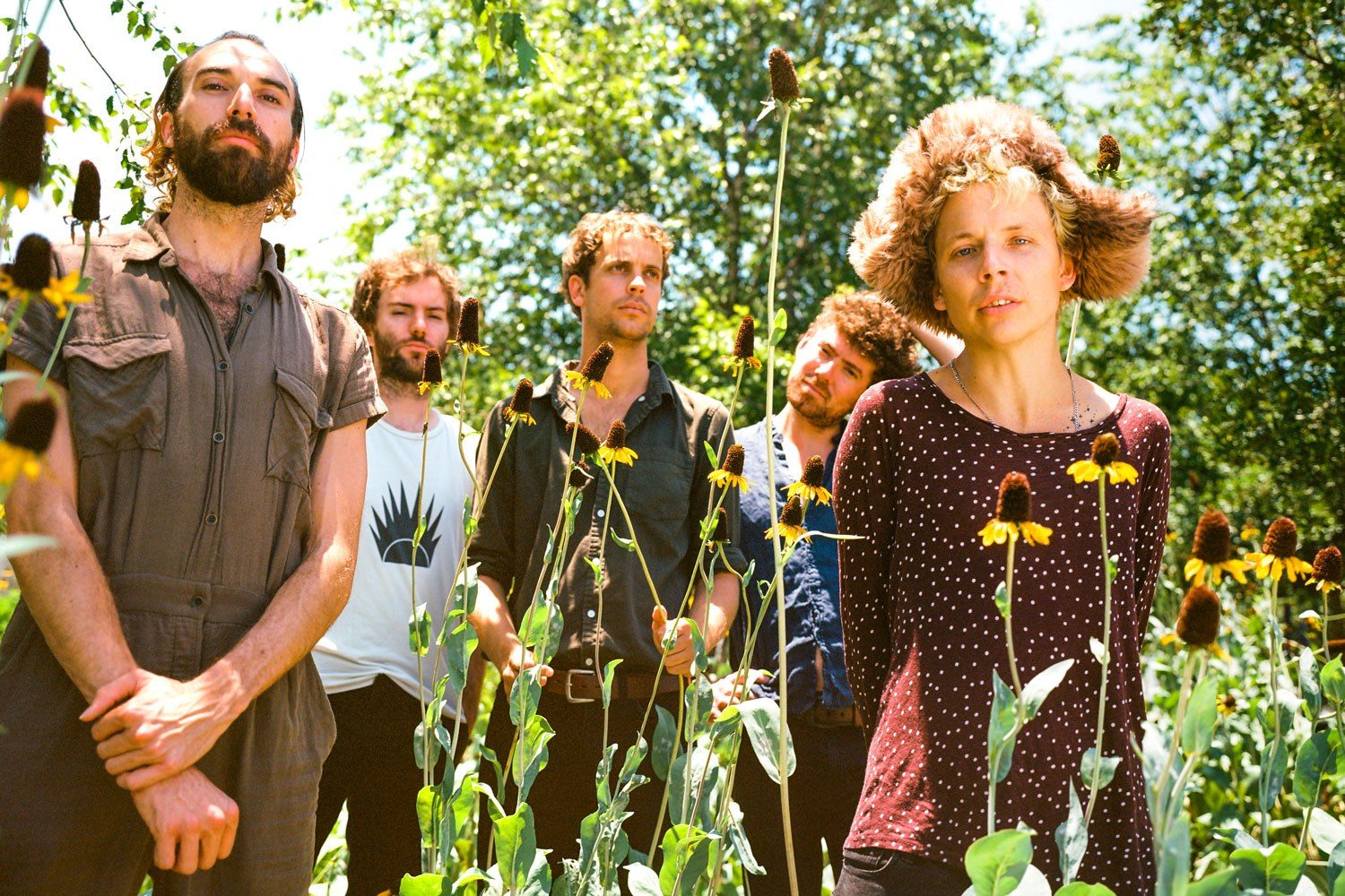 Aussie bunch POND are streaming their new album, 'Tasmania'