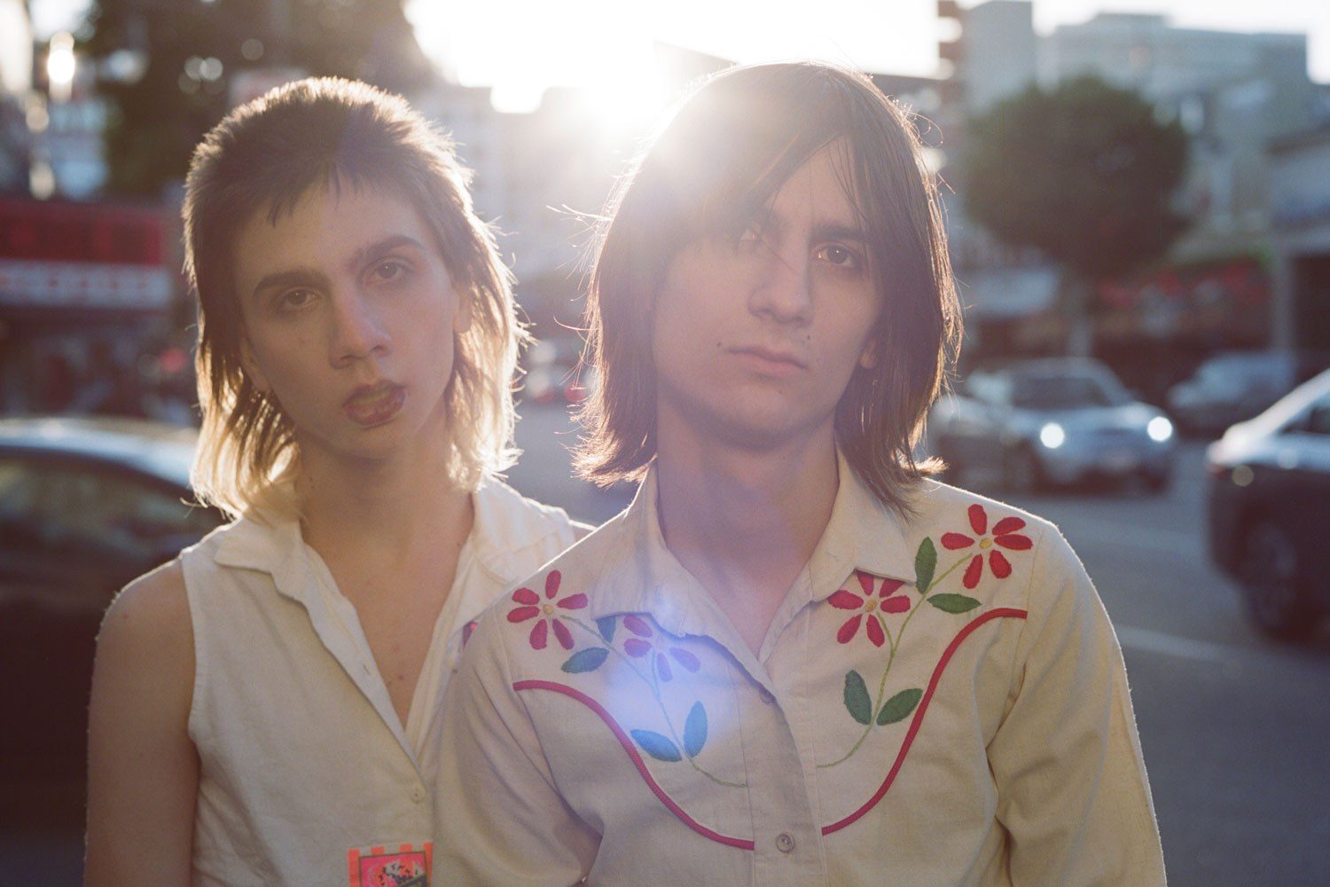 The Lemon Twigs make plans to visit the UK next year