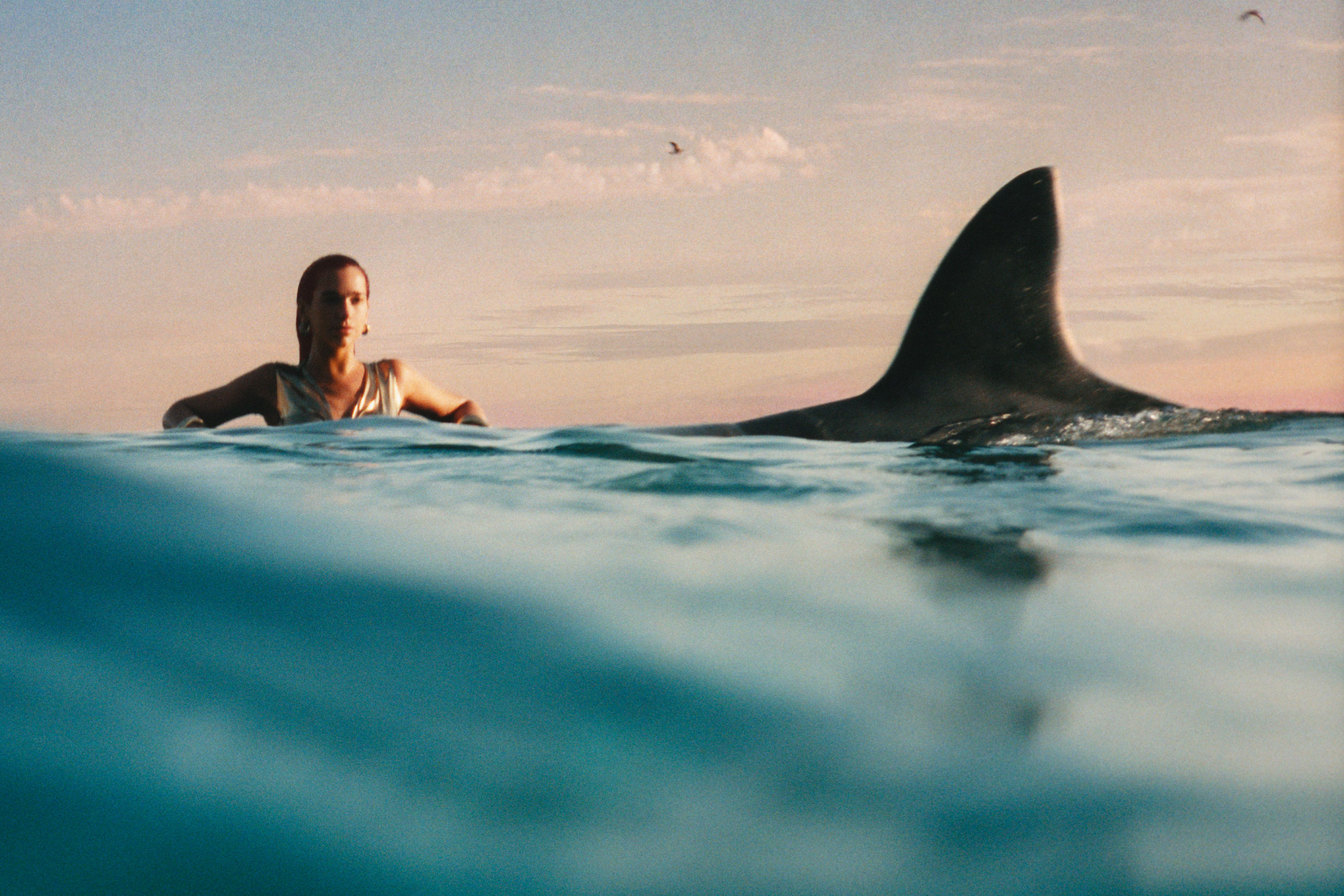 Dua Lipa has announced a new show at London's Royal Albert Hall