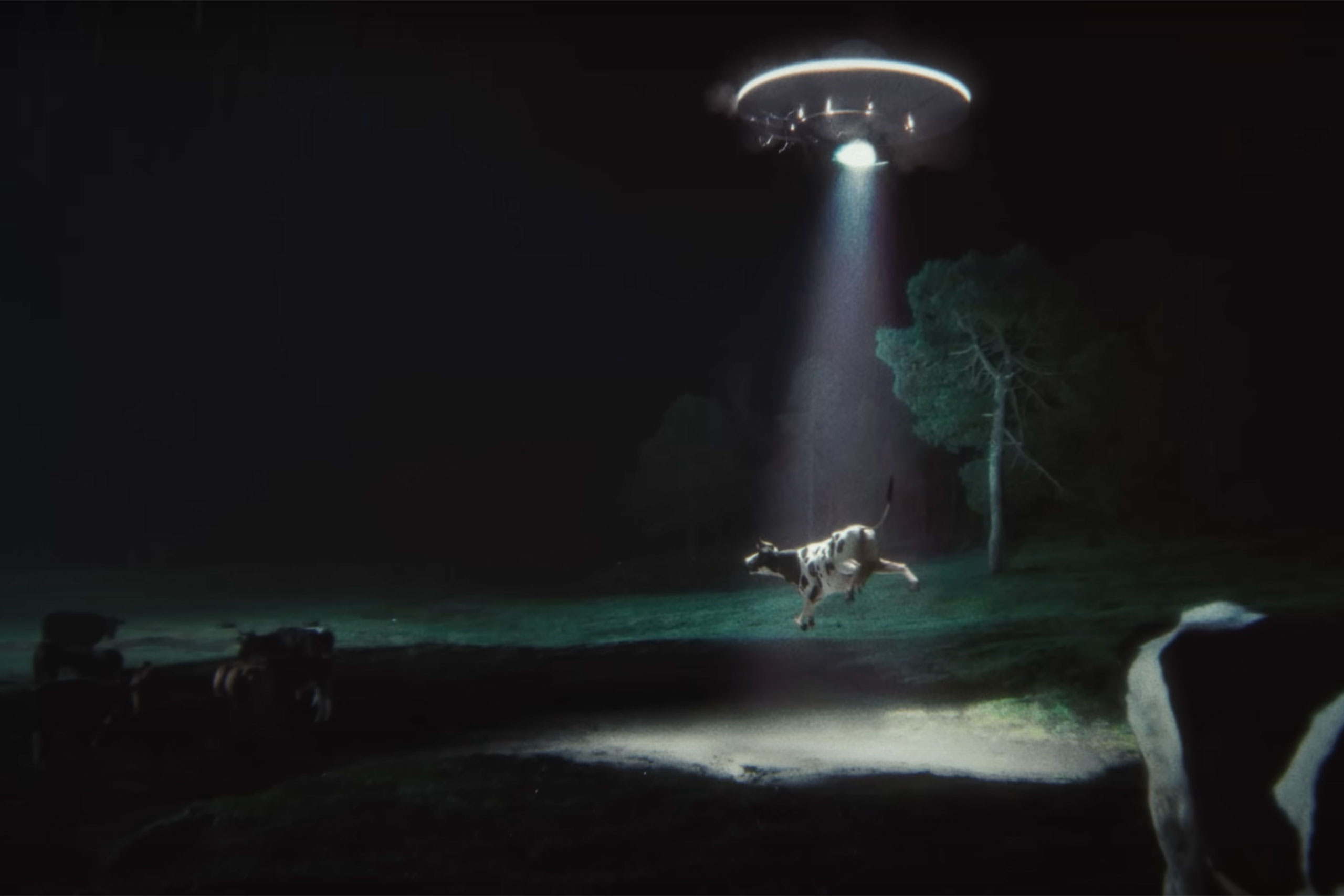 Glass Animals' new video for 'Show Pony' features an unlikely friendship between an alien and a cow