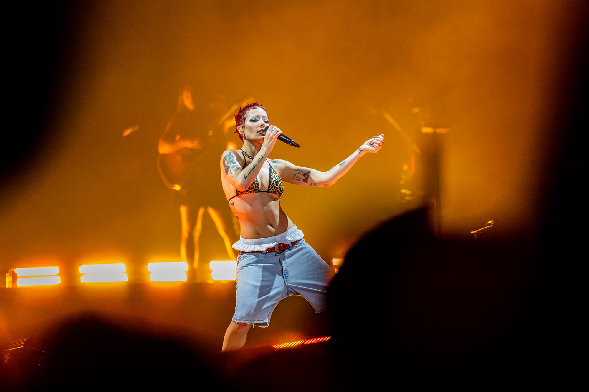 Halsey has booked a Back to Badlands 2025-2026 international tour, marking a decade of her debut album