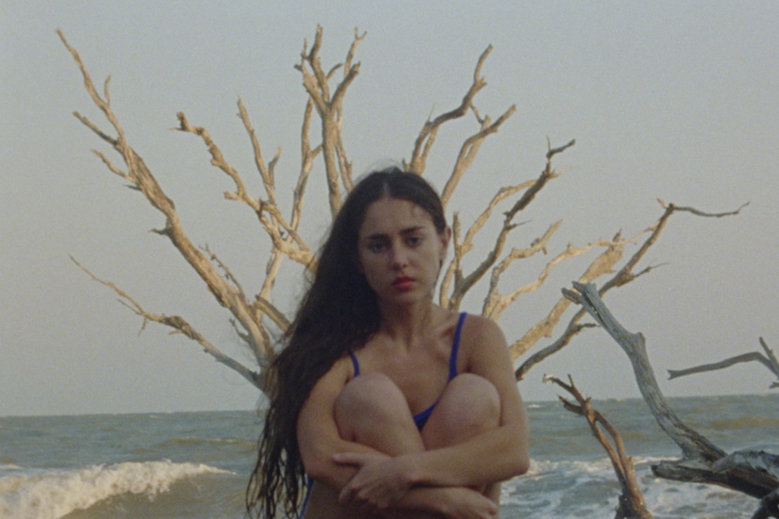 Samia has announced her third album 'Bloodless' with a single inspired by mysterious cattle mutilations