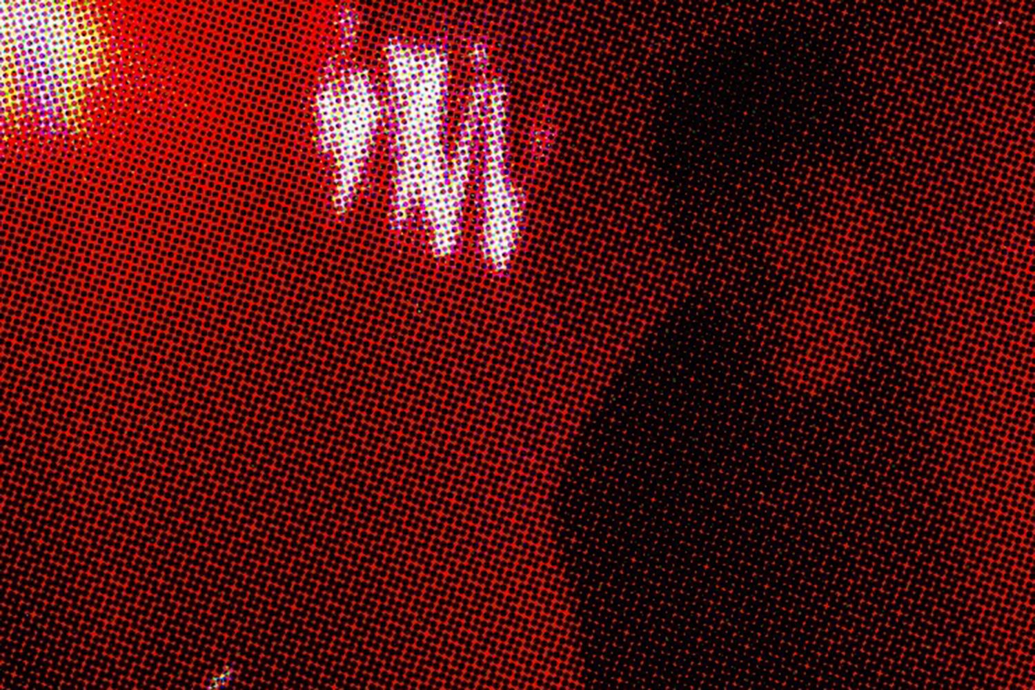 Cole Koch has released his lockdown-inspired debut single, 'Lockdown NYC'